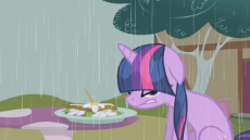 Twilight_Sparkle_wet_and_angry_S1E03.png