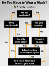 message-covid-flowchart-vaccinated-fauci-cdc-youre-american-do-what-u-want.jpeg