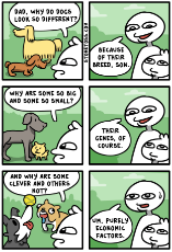 dog-breed-intelligence-comic.png