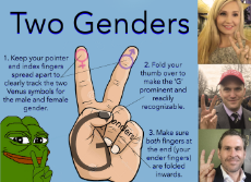 two genders.png