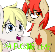 0011_OAT_Pony_Aryanne_Hoofler_and_a_fucking_leaf.png
