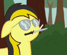1547221__safe_oc_oc-colon-leslie fair_oc only_alt-dash-right_anarcho-dash-capitalism_badass_cigarette_dale gribble_earth pony_female_glasses_king of th.png