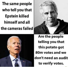same-people-say-epstein-killed-himself-when-cameras-failed-joe-biden-80-million-votes-dont-need-audit.png