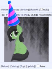 birthday hat filly.png