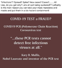 pcr-test-fraud-750x822.jpg