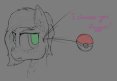 PokeFilly.png