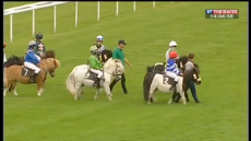 Y2Mate.is - Shetland pony racing - Doncaster thriller!-52I41cO6_T4-720p-1654626601079.mp4