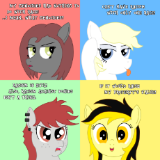 Compass Ponies on Racism.png