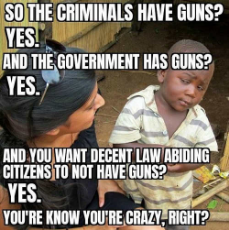 criminals-government-have-guns-law-abiding-no-crazy-kid.jpg