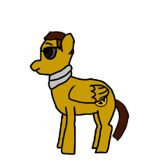 Identitarian Pony 1.jpg