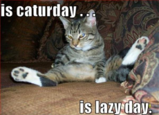 caturday-lazyday.jpg