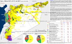 Syria Ethnic Shift 2010-2018.png