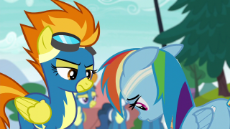 Rainbow_Dash_hangs_her_head_in_shame_S6E7.png