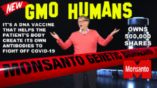 GMO_Humans_4.png