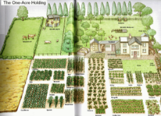 one-acre-holdingfarm.png
