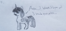 anonfilly5_cropped.jpg