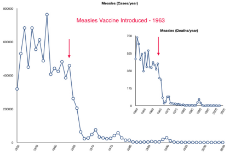 MeaslesCases1950To2005Vaccines.jpeg