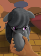 1455277__safe_artist-colon-stink111_octavia+melody_blushing_cello_cute_earth+pony_embarrassed_female_floppy+ears_fluffy_high+res_holding+hands_holding+.png