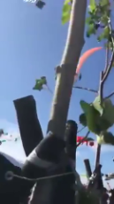 Taipei 3-Year-Old Safe After Becoming Caught in the Strings of a Kite and Lifted Into the Air.mp4