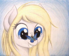39_Aryan_Pony_with_blue_butterfly.png