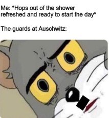 Auschwitz meme.jpg