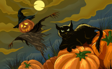 black-cat-and-scarecrow-holiday-halloween.jpg