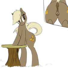 1367049__explicit_solo_female_pony_mare_simple+background_nudity_earth+pony_solo+female_vulva_anus_looking+back_vagina_dock_ponut_ponified_bipedal_cl.png