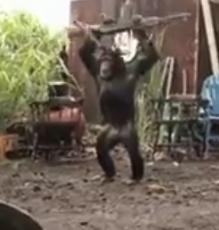 Ape With AK-47.png