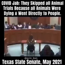 covid-19 injections - the animals all died in the vaccine trials.mp4