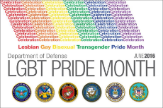 US Department Of Defense - Support for LGBT Pride Month - (2016).jpg