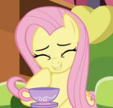 My Little Pony - Fluttershy - Giggling.png