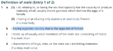dictionary-male-1.jpg