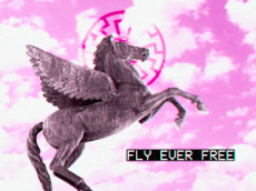 Fly Ever Free1.png