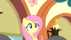 616473__safe_screencap_bulk biceps_fluttershy_snowflake_equestria games_equestria games (episode)_animated_barbell_cute_gritted teeth_smiling_weigh.gif