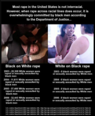 interracial_rape_statistics.jpg