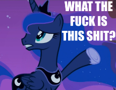 princess_luna_What_the_Fuck_is_this_Shit.png