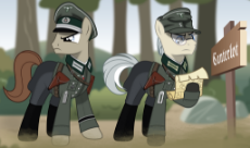 2081068__safe_artist-colon-brony-dash-works_clothes_glasses_male_map_nazi_nazi germany_officer_pony_sign_soldier_soldier pony_stallion_un.png