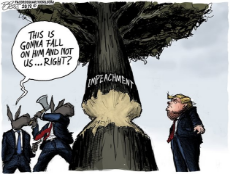 Impeachment Tree.jpg