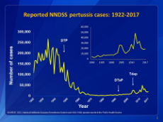 PertussisCases1922To2017Vaccines.jpeg