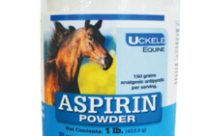 horse aspirin.JPG