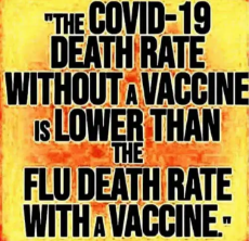 covid-19-death-rate-without-a-vaccine-lower-than-flu-with-a-vaccine.png