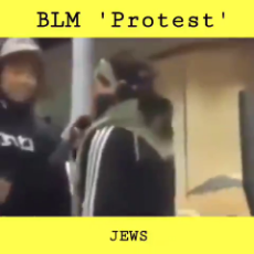 You Wanna Get Rid of the Jews When BLM Turn on the Owners.mp4