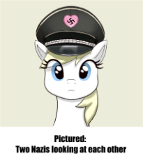 ary-two-nazis.png