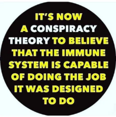 its-now-a-conspiracy-theory-to-believe-immune-system-capable-of-doing-job-designed-to-do.png