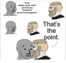liberal-if-abolish-taxes-no-funding-government-programs-thats-the-point.jpeg