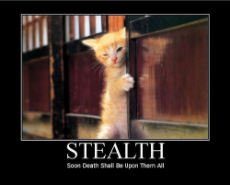 stealth-funny-motivational-poster.jpg