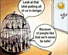 birds-in-cage-look-idiot-putting-our-lives-in-danger-never-be-safe-like-us-in-prison.png